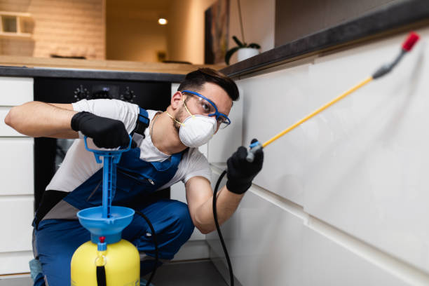 Best Pest Control Near Me  in Merrill, WI